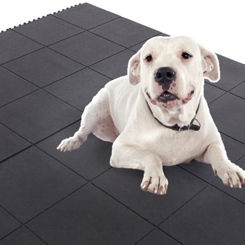 Top Dog Rubber Floor Mats Dealers In Chennai